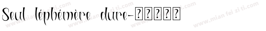 Seul léphémère dure字体转换